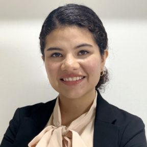 Diana Itzel Santana Galindo